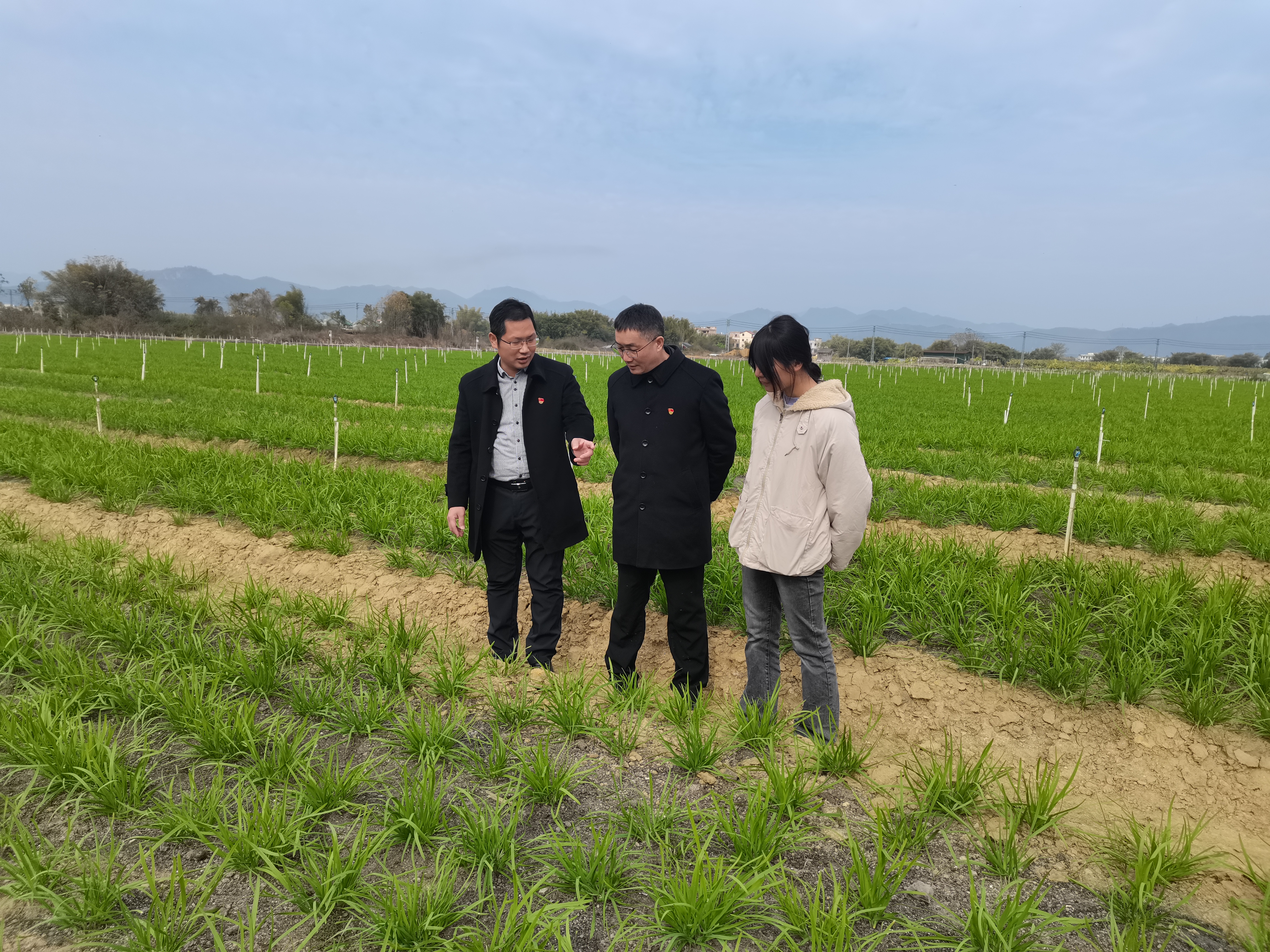 怀集法院送法答疑 助力企业发展